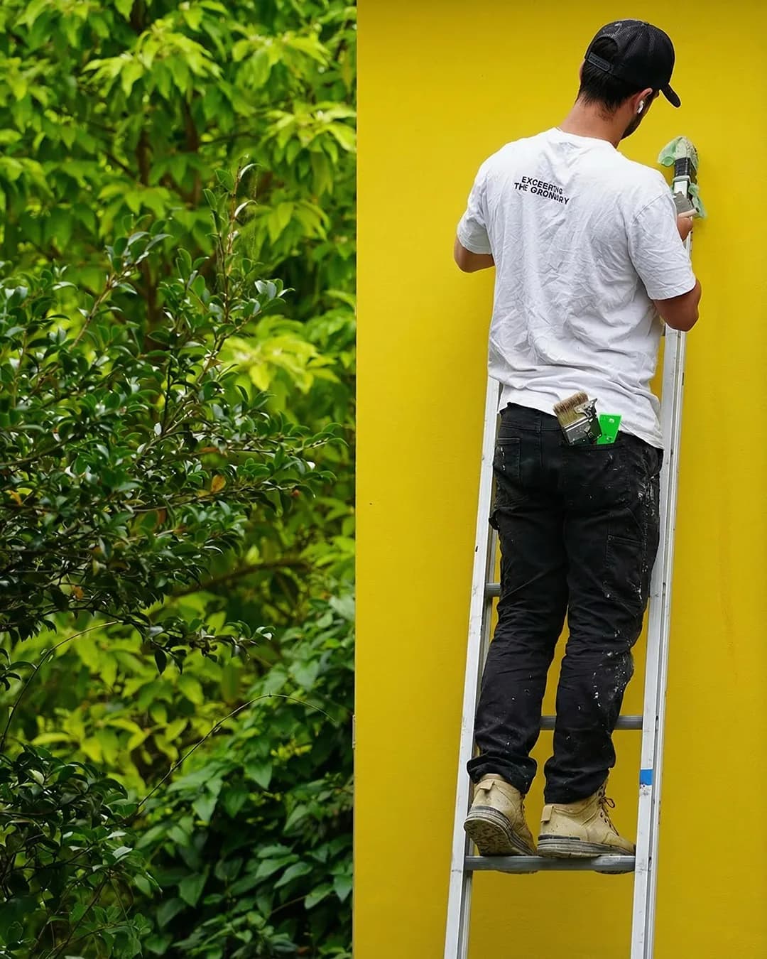 Paint Remediation & Maintenance